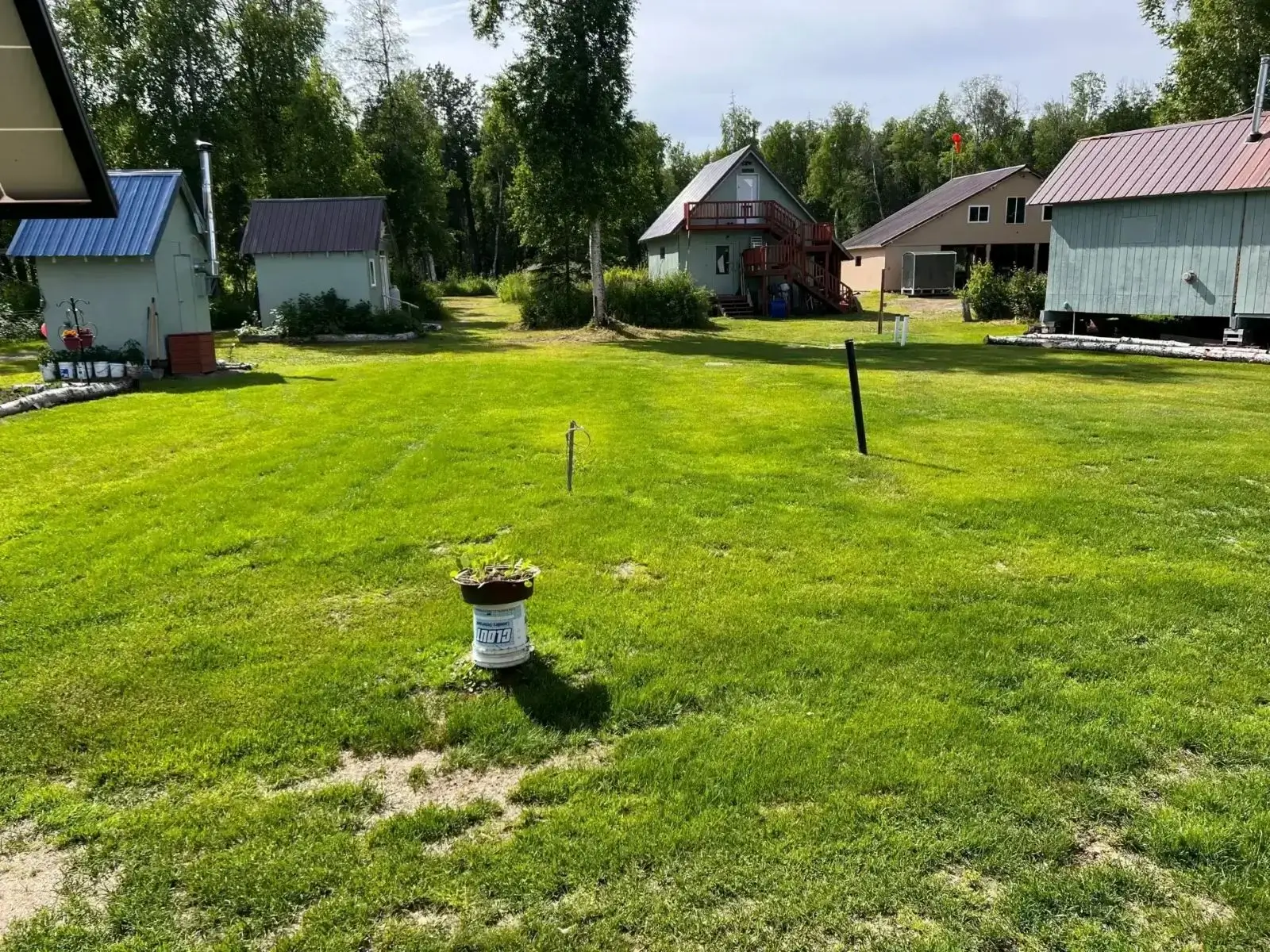 Grassy yard with houses and trees.